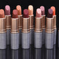 Waterproof Long Lasting Nude Lipstick Matte Makeup
