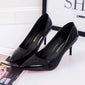 Women Shoes Pointed Toe Pumps