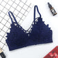 Lingerie Lace Floral Embroidery Bra Underwear