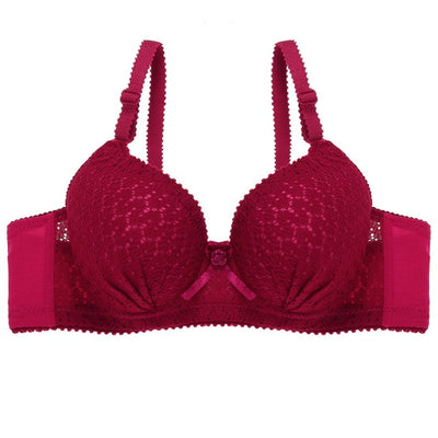 Lace Bra Comfort Cotton B C Cup Bras For Women